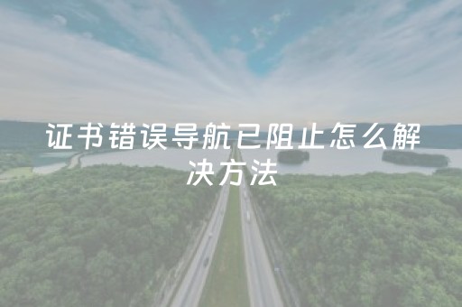 证书错误导航已阻止怎么解决方法（证书错误导航已阻止怎么解决方法图片）