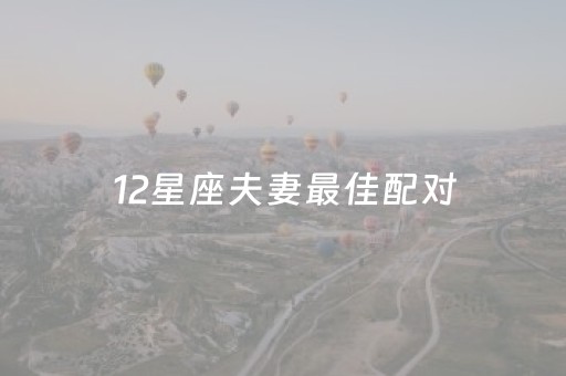 12星座夫妻最佳配对（十二星座最佳夫妻组合）