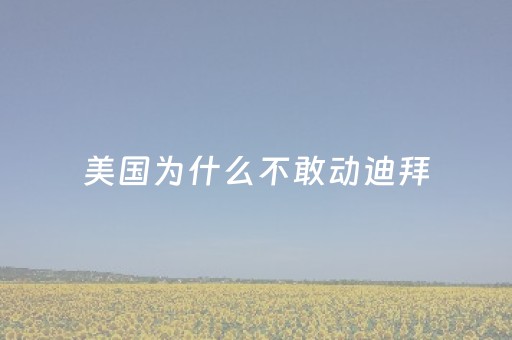 美国为什么不敢动迪拜（美国为什么不搞迪拜）