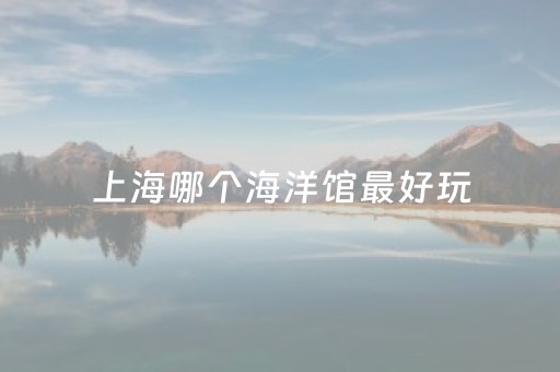 上海哪个海洋馆最好玩（上海哪个海洋馆好玩 长风 海昌）