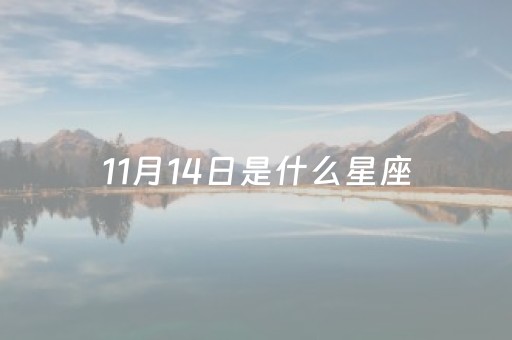 11月14日是什么星座（12月14日是什么星座）
