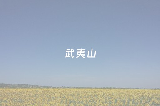 武夷山（武夷山旅游攻略）