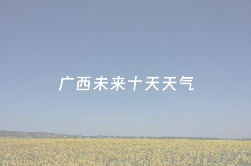 广西未来十天天气（广西未来十天天气预报中越边境）
