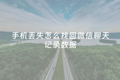 手机丢失怎么找回微信聊天记录数据（手机丢失怎么找回微信聊天记录数据和文件）