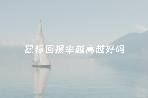 鼠标回报率越高越好吗（鼠标回报率越大越慢吗）