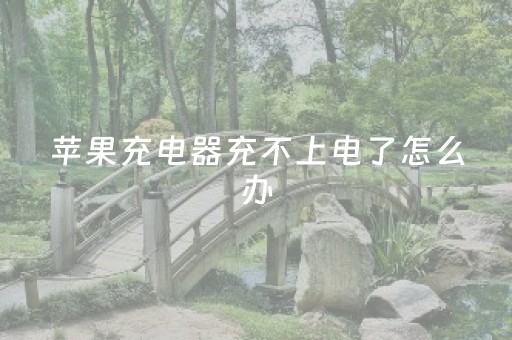 苹果充电器充不上电了怎么办（苹果充电器充不上电了怎么办,已经换了好几根了）