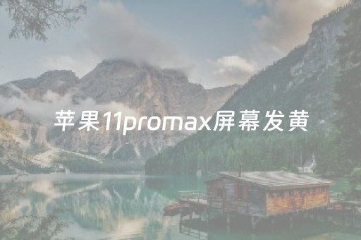 苹果11promax屏幕发黄（苹果11promax屏幕发黄怎么回事）