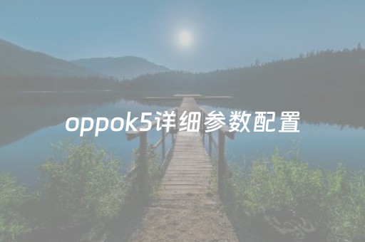 oppok5详细参数配置（oppok5的参数配置价格）