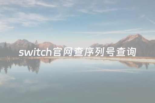 switch官网查序列号查询（switchlite官网查序列号）