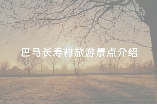 巴马长寿村旅游景点介绍（巴马长寿村游玩攻略）