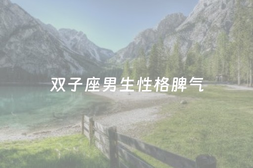 双子座男生性格脾气（怎么拿捏双子男）