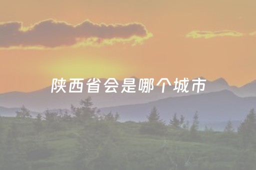 陕西省会是哪个城市（陕西省会是哪个城市啊）