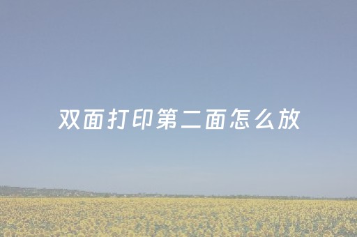 双面打印第二面怎么放（双面打印第二面怎么放纸张）