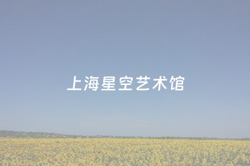 上海星空艺术馆（上海星空艺术馆门票多少钱）