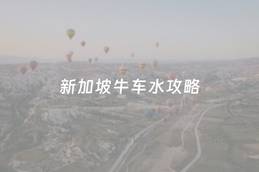 新加坡牛车水攻略（新加坡牛车水导游词）