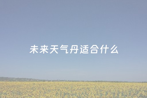 未来天气丹适合什么（天气丹适合什么天气）