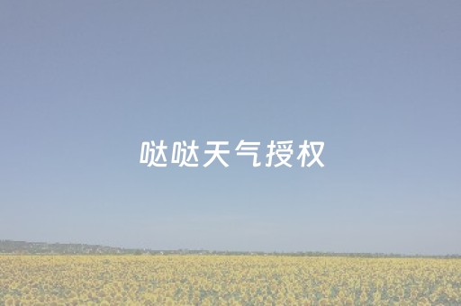 哒哒天气授权（哒哒天气闹钟怎么播报天气）