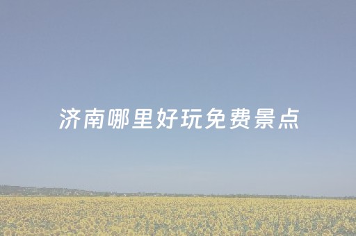 济南哪里好玩免费景点（济南哪里好玩免费景点推荐）