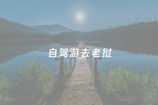 自驾游去老挝（自驾游去老挝东西多了怎么交税）