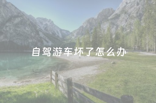 自驾游车坏了怎么办（自驾游车坏了打什么电话）
