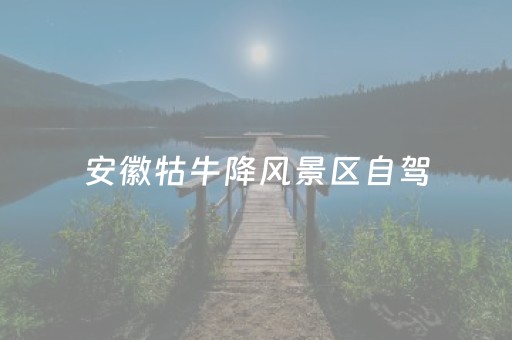安徽牯牛降风景区自驾（安徽牯牛降风景区自驾游攻略）