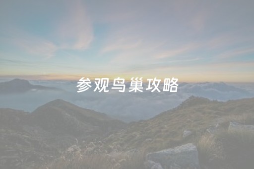参观鸟巢攻略（参观鸟巢的观后感作文）