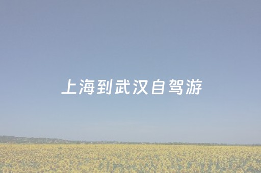 上海到武汉自驾游（上海到武汉自驾游要多久到）