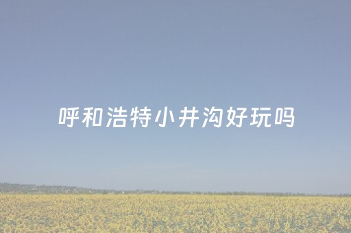 呼和浩特小井沟好玩吗（呼和浩特小井沟好玩吗多少钱）