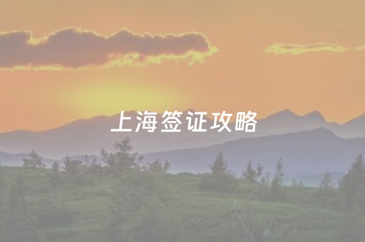 上海签证攻略（上海签证开放了吗）