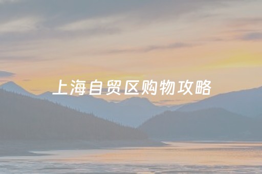 上海自贸区购物攻略（上海自贸区主要逛哪）