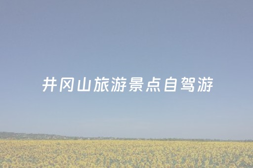井冈山旅游景点自驾游（井冈山自驾游攻略1日游）