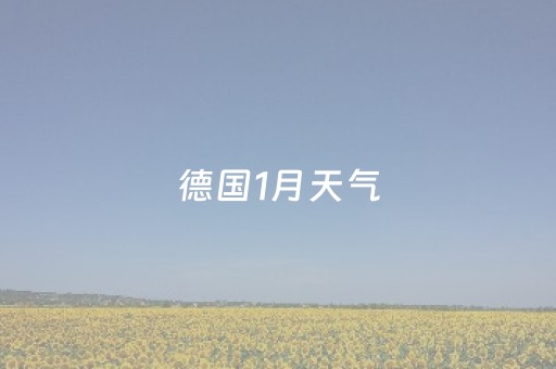 德国1月天气（德国11月天气）