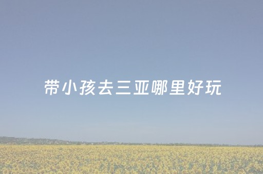 带小孩去三亚哪里好玩（三亚适合带孩子去旅游的地方）