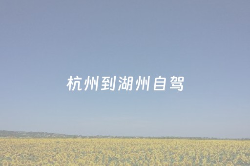 杭州到湖州自驾（杭州到湖州自驾游一日游攻略）