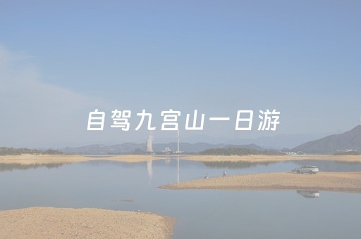 自驾九宫山一日游（自驾九宫山旅游攻略）