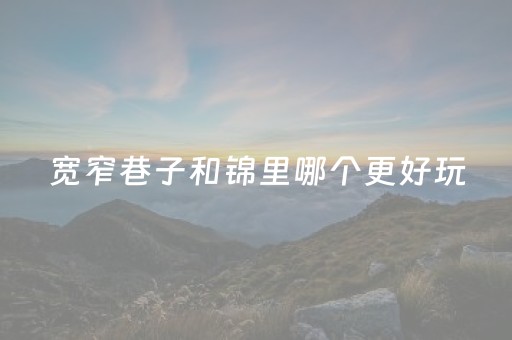 宽窄巷子和锦里哪个更好玩（宽窄巷子和锦里哪个吃得多）
