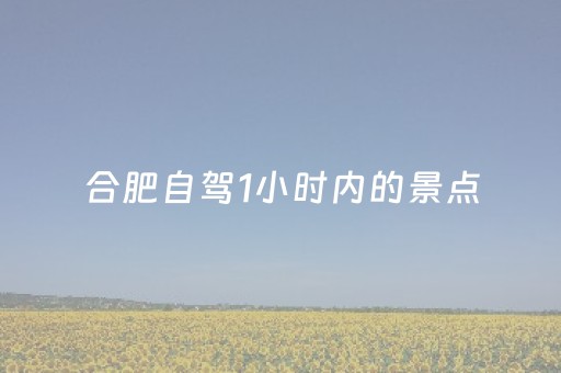 合肥自驾1小时内的景点（合肥2小时内自驾游）