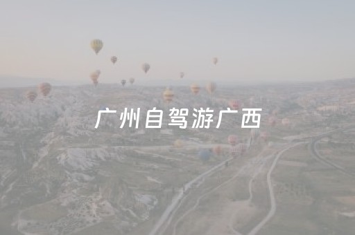 广州自驾游广西（广州自驾游广西渠洋湖路线）