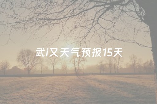 武i又天气预报15天（武近天气预报）