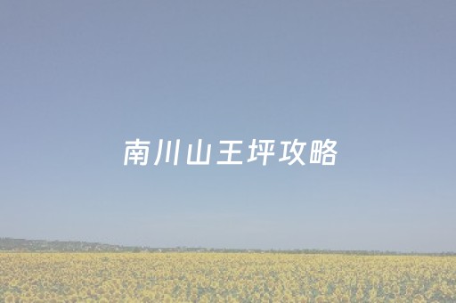 南川山王坪攻略（重庆南川山王坪攻略）