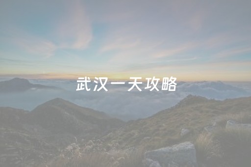 武汉一天攻略（武汉一日攻略）