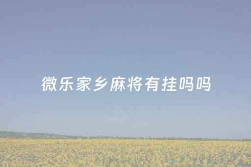 微乐家乡麻将有挂吗吗（微乐家乡麻将有没有挂）