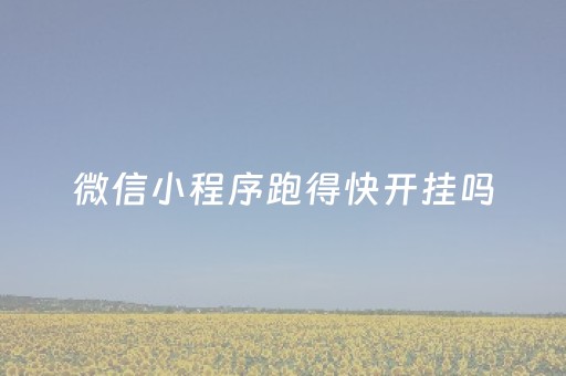 微信小程序跑得快开挂吗（小程序跑得快有没有挂）