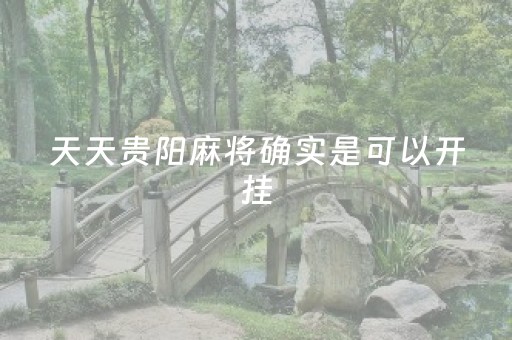 天天贵阳麻将确实是可以开挂（天天贵阳麻将挂是真的吗）