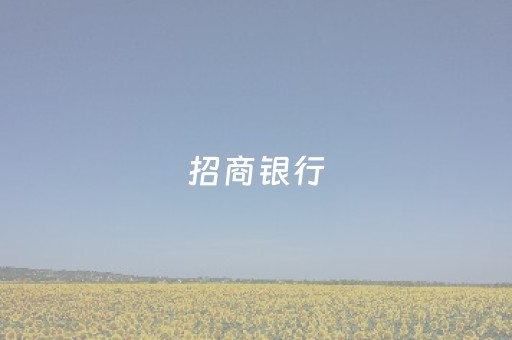 招商银行
（招商银行
代码）