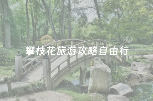 攀枝花旅游攻略自由行（攀枝花旅游攻略自由行路线推荐）