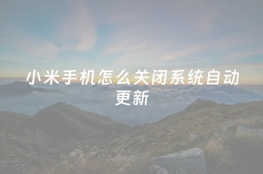 小米手机怎么关闭系统自动更新（小米手机怎么关闭系统自动更新提醒）