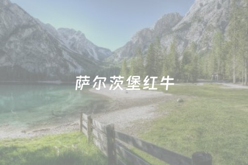 萨尔茨堡红牛（萨尔茨堡红牛和莱比锡）