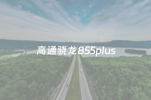 高通骁龙855plus（高通骁龙855PLUS参数）