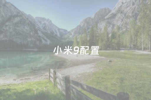 小米9配置（小米9配置参数详情图片）